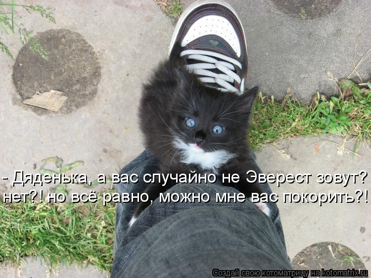 - Дяденька, а вас случайно не Эверест зовут? нет?! но всё равно, можно мне вас покорить?!... Котоматрица: - Дяденька, а вас случайно не Эверест зовут? нет?! но всё равно, можно мне вас покорить?!