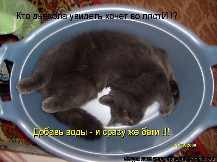 Котоматрица: Кто дьявола увидеть хочет во плотИ !? Добавь воды - и сразу же беги !!!