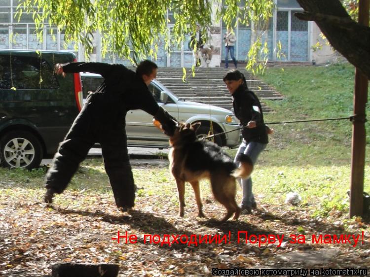 Котоматрица: -Не подходиии! Порву за мамку!