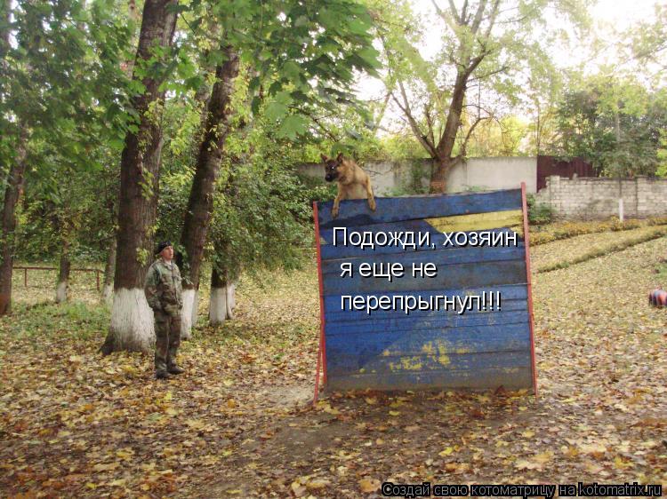 Котоматрица: Подожди, хозяин я еще не  перепрыгнул!!!