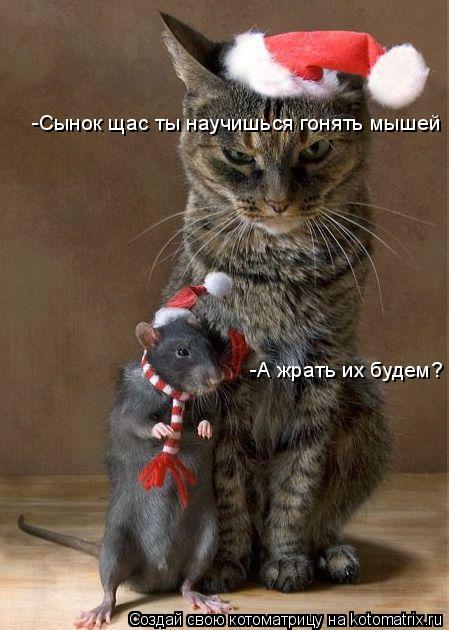 Котоматрица: -Сынок щас ты научишься гонять мышей -А жрать их будем?