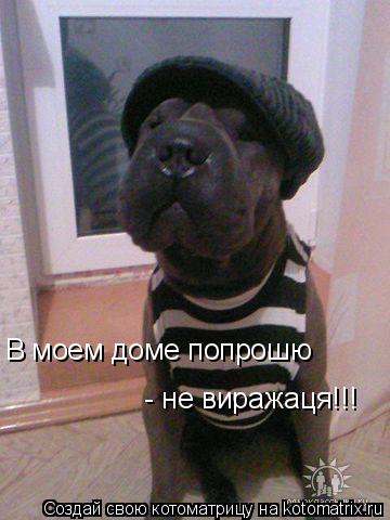 Котоматрица: В моем доме попрошю  - не виражаця!!!