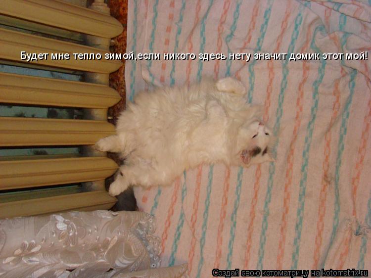 Котоматрица: Будет мне тепло зимой,если никого здесь нету значит домик этот мой!