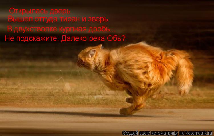 Котоматрица: Открылась дверь Вышел оттуда тиран и зверь В двухстволке курпная дробь... Не подскажите: Далеко река Обь?