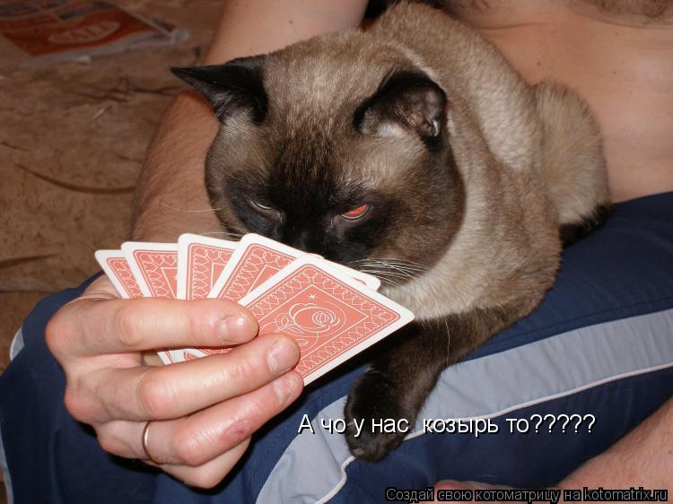 Котоматрица: А чо у нас  козырь то?????