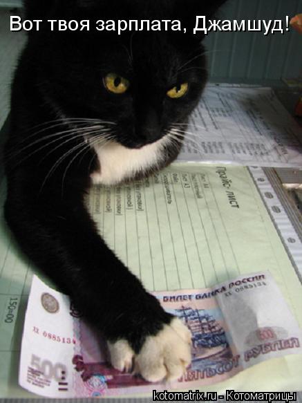 Котоматрица: Вот твоя зарплата, Джамшуд!