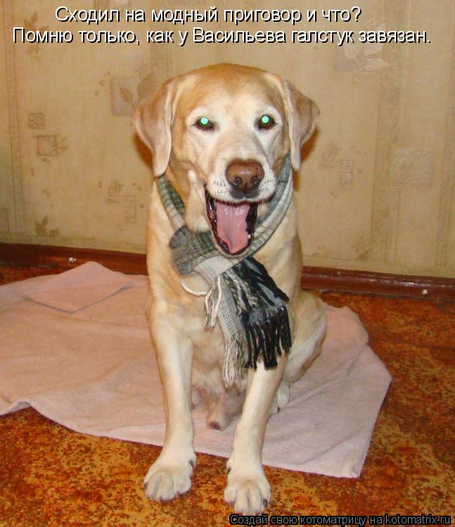 Котоматрица: Сходил на модный приговор и что? Помню только, как у Васильева галстук завязан.