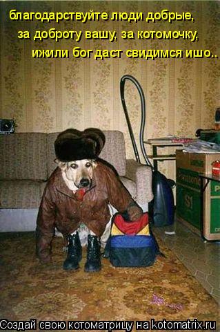 Котоматрица: благодарствуйте люди добрые,  за доброту вашу, за котомочку,  ижили бог даст свидимся ишо..