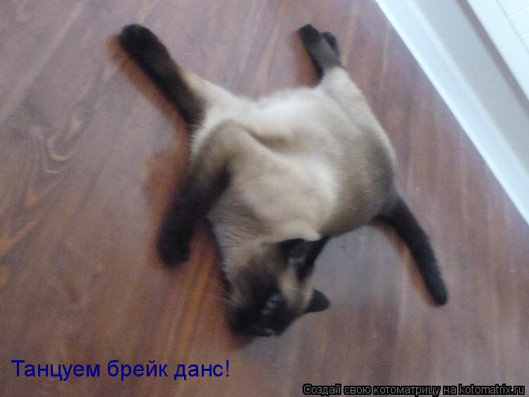 Котоматрица: Танцуем брейк данс!
