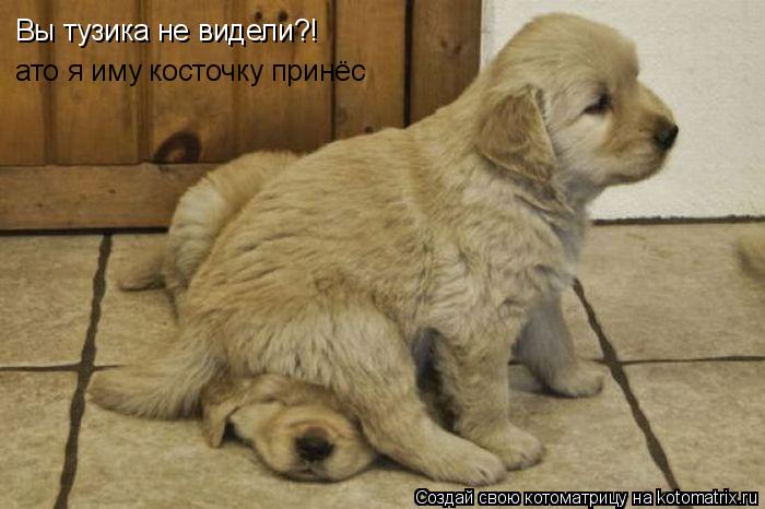 Вы тузика не видели?! ато я иму косточку принёс... Котоматрица: Вы тузика не видели?! ато я иму косточку принёс