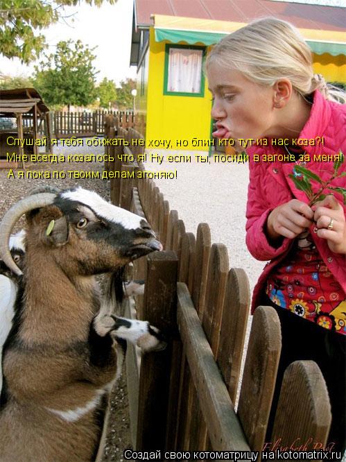 Котоматрица: Слушай я тебя обижать не хочу, но блин кто тут из нас коза?! Мне всегда козалось что я! Ну если ты, посиди в загоне за меня! А я пока по твоим дел