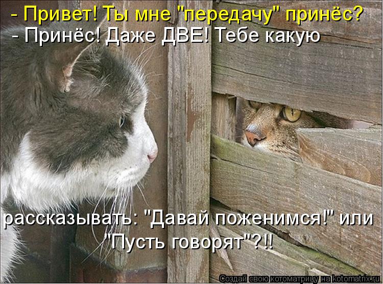 - Привет! Ты мне "передачу" принёс? - Принёс! Даже ДВЕ! Тебе какую рассказывать: "Давай поженимся!" ... Котоматрица: - Привет! Ты мне "передачу" принёс? - Принёс! Даже ДВЕ! Тебе какую рассказывать: "Давай поженимся!" или "Пусть говорят"?!!