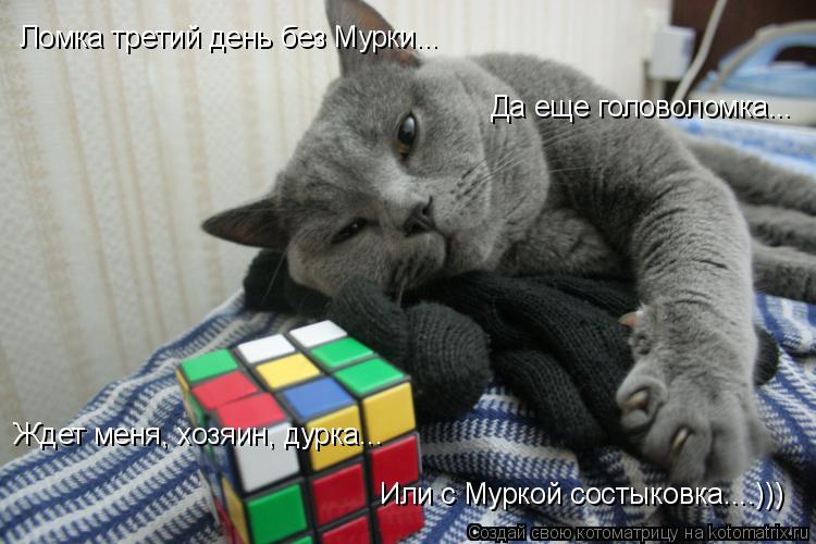 Котоматрица: Ждет меня, хозяин, дурка... Да еще головоломка... Ломка третий день без Мурки... Или с Муркой состыковка....))) Или с Муркой состыковка....)))
