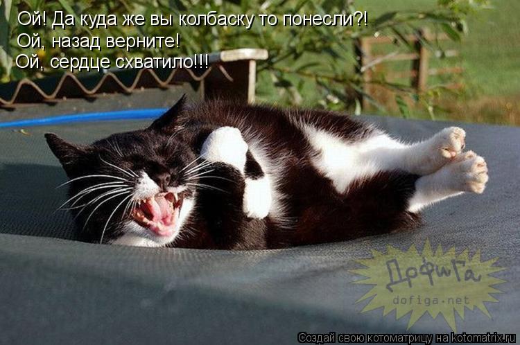 Котоматрица: Ой! Да куда же вы колбаску то понесли?! Ой, назад верните! Ой, сердце схватило!!!
