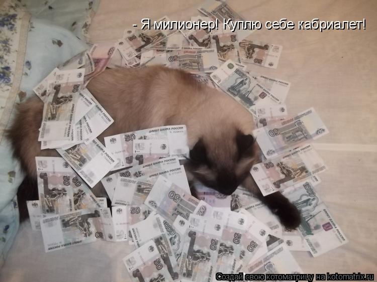 Котоматрица: - Я милионер! Куплю себе кабриалет!
