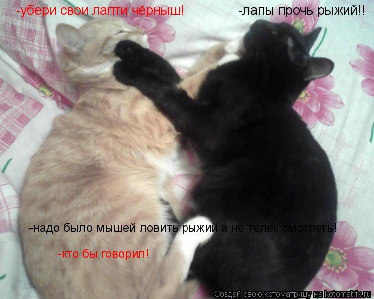 Котоматрица: -лапы прочь рыжий!! -убери свои лапти чёрныш! -надо было мышей ловить рыжий а не телек смотреть! -кто бы говорил!