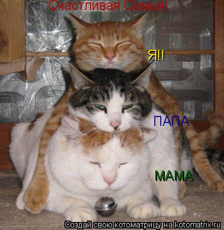 Котоматрица: МАМА ПАПА Я!! Счастливая Семья!