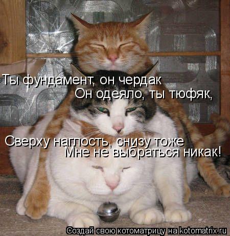 Котоматрица: Сверху наглость, снизу тоже Мне не выбраться никак! Он одеяло, ты тюфяк, Ты фундамент, он чердак