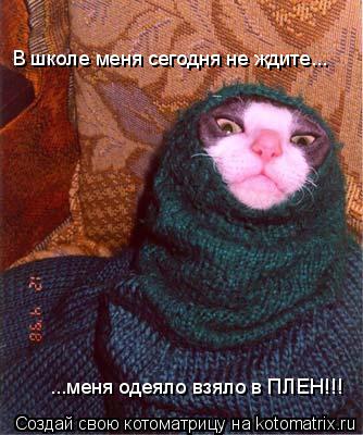 Котоматрица: В школе меня сегодня не ждите... ...меня одеяло взяло в ПЛЕН!!!