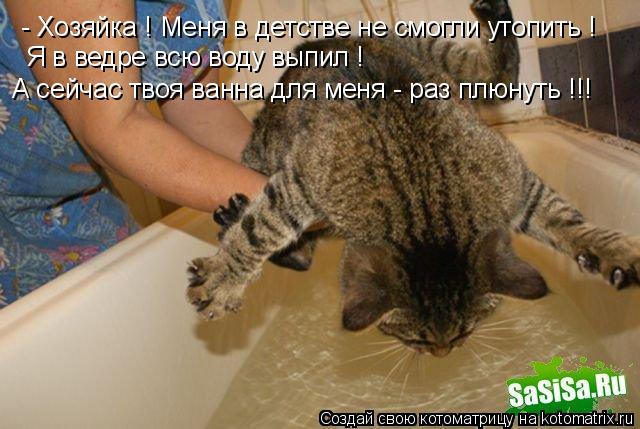 Котоматрица: - Хозяйка ! Меня в детстве не смогли утопить ! Я в ведре всю воду выпил ! А сейчас твоя ванна для меня - раз плюнуть !!!