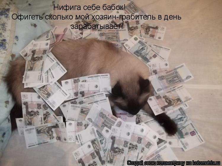 Котоматрица: Нифига себе бабок! Офигеть сколько мой хозяин-грабитель в день зарабатывает!