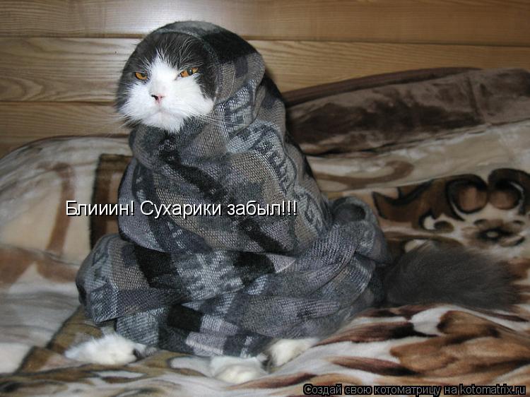 Котоматрица: Блииин! Сухарики забыл!!!