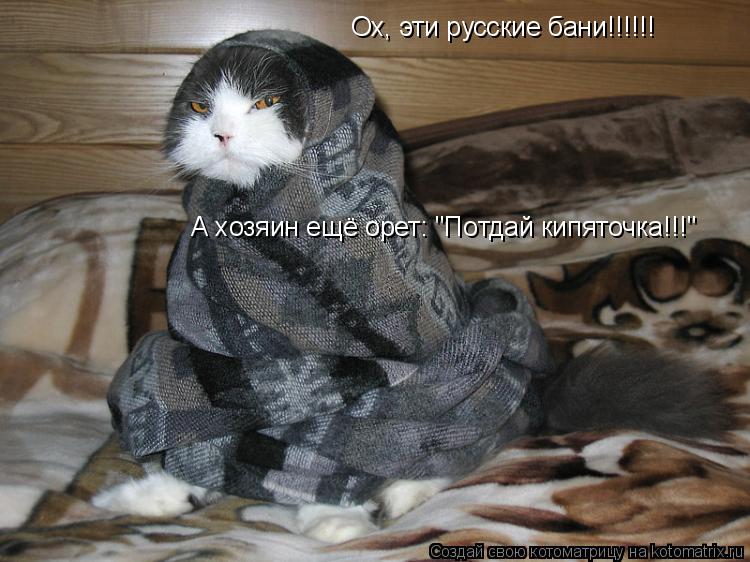 Котоматрица: Ох, эти русские бани!!!!!! А хозяин ещё орет: "Потдай кипяточка!!!"