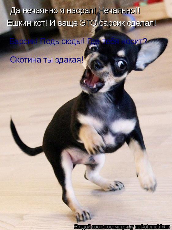 Котоматрица: Да нечаянно я насрал! Нечаянно!!  Ешкин кот! И ваще ЭТО барсик сделал! Барсик! Подь сюды! Где тебя носит?   Скотина ты эдакая!