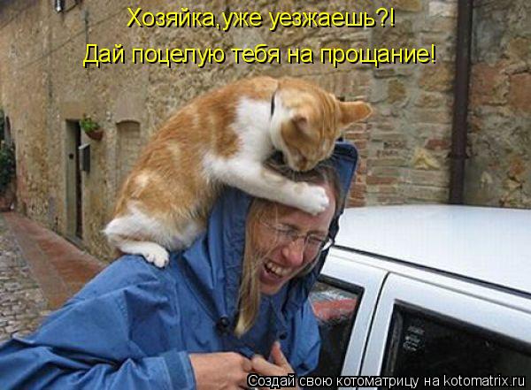 Котоматрица: Хозяйка,уже уезжаешь?! Дай поцелую тебя на прощание!