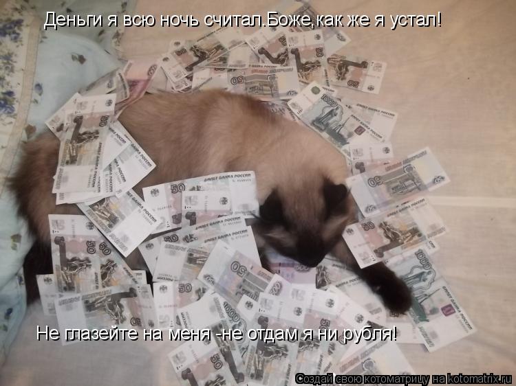 Котоматрица: Деньги я всю ночь считал.Боже,как же я устал! Не глазейте на меня -не отдам я ни рубля!