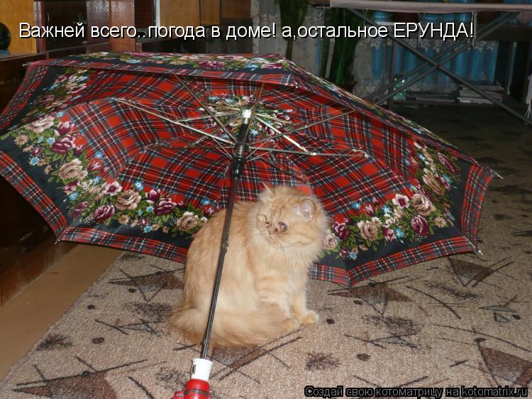 Котоматрица: Важней всего..погода в доме! а,остальное ЕРУНДА!