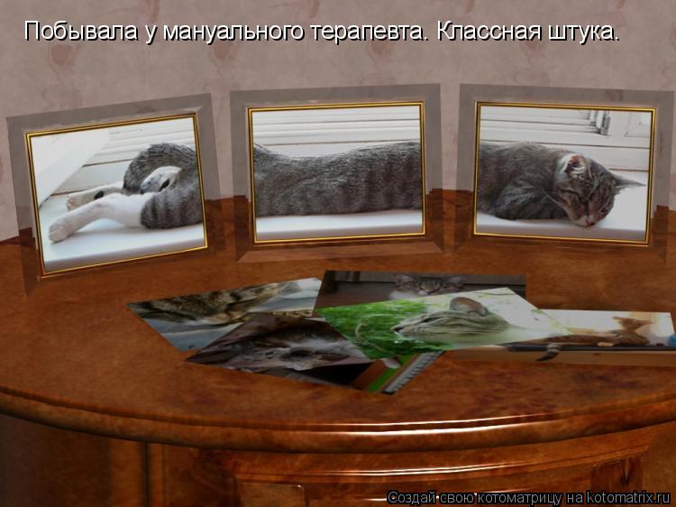 Котоматрица: Побывала у мануального терапевта. Классная штука.