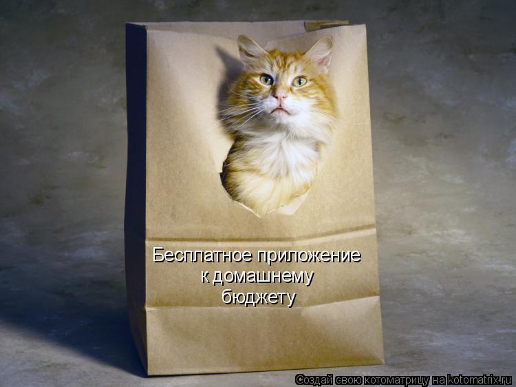 Котоматрица: Бесплатное приложение к домашнему бюджету
