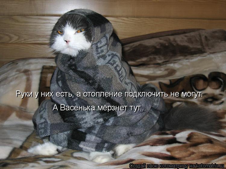 Котоматрица: Руки у них есть, а отопление подключить не могут. А Васенька мёрзнет тут...
