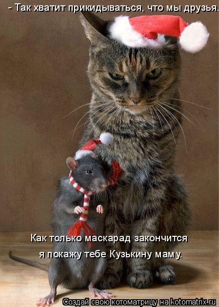 Котоматрица: - Так хватит прикидываться, что мы друзья. Как только маскарад закончится я покажу тебе Кузькину маму.