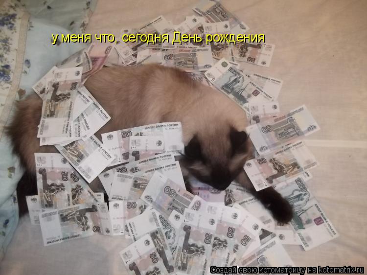 Котоматрица: у меня что, сегодня День рождения