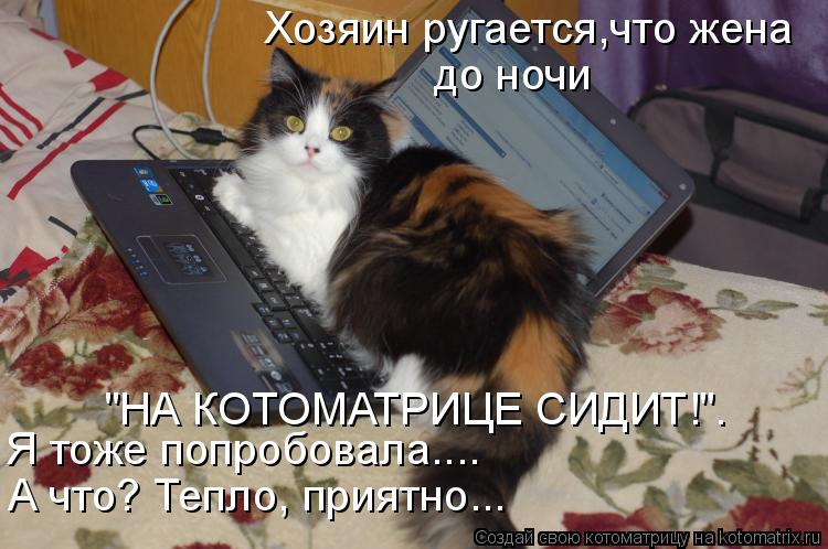 Хозяин ругается,что жена до ночи "НА КОТОМАТРИЦЕ СИДИТ!". Я тоже попробовала.... А что? Тепло, прият... Котоматрица: Хозяин ругается,что жена до ночи "НА КОТОМАТРИЦЕ СИДИТ!". Я тоже попробовала.... А что? Тепло, приятно...