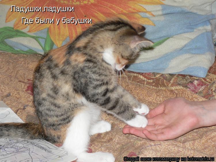 Котоматрица: Ладушки,ладушки Где были у бабушки