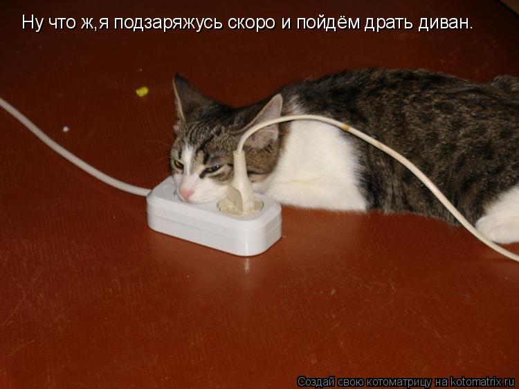 Котоматрица: Ну что ж,я подзаряжусь скоро и пойдём драть диван.