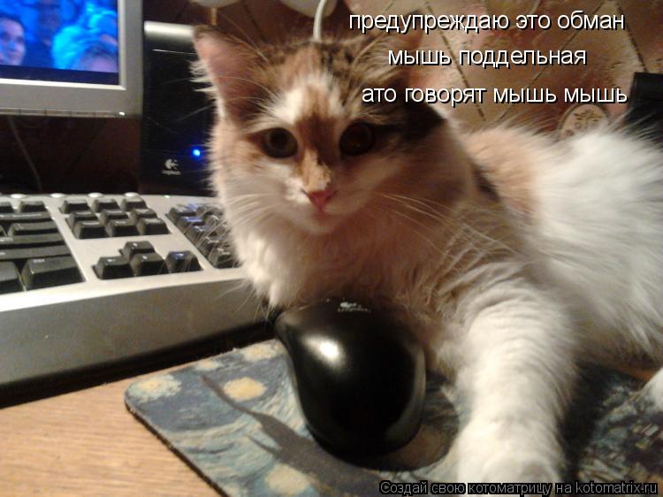 Котоматрица: предупреждаю это обман мышь поддельная ато говорят мышь мыш ато говорят мышь мышь