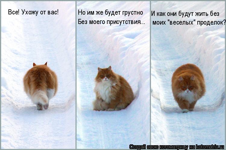 Все! Ухожу от вас! Но им же будет грустно Без моего присутствия... моих "веселых" проделок? И как он... Котоматрица: Все! Ухожу от вас! Но им же будет грустно Без моего присутствия... моих "веселых" проделок? И как они будут жить без