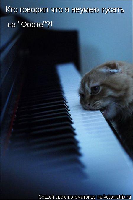 Котоматрица: Кто говорил что я неумею кусать на "Форте"?!