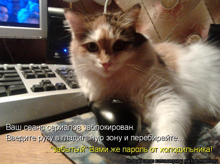 Котоматрица: Ваш сеанс сериалов заблокирован. Введите руку в гладильную зону и перебирайте... ..."забытый" Вами же пароль от холодильника!