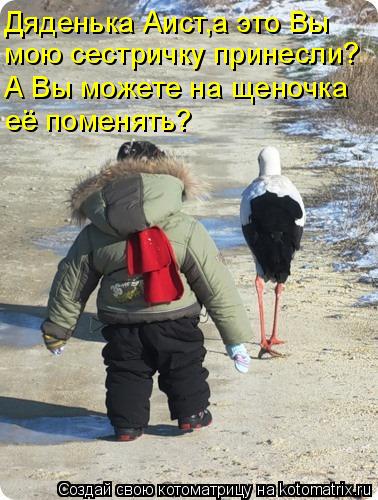 Дяденька Аист,а это Вы мою сестричку принесли? А Вы можете на щеночка её поменять?... Котоматрица: Дяденька Аист,а это Вы мою сестричку принесли? А Вы можете на щеночка её поменять?