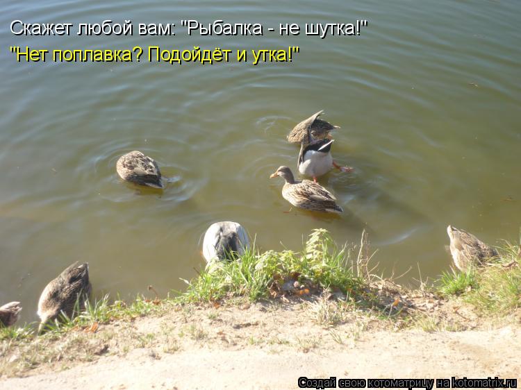Котоматрица: Скажет любой вам: "Рыбалка - не шутка!" "Нет поплавка? Подойдёт и утка!"