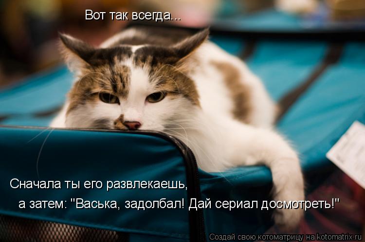 Котоматрица: Вот так всегда... Сначала ты его развлекаешь, а затем: "Васька, задолбал! Дай сериал досмотреть!"