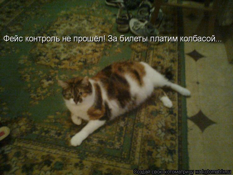 Котоматрица: Фейс контроль не прошёл! За билеты платим колбасой...