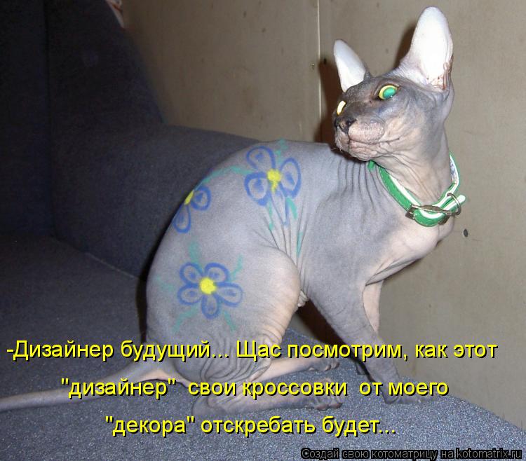 Котоматрица: -Дизайнер будущий... Щас посмотрим, как этот  "дизайнер"  свои кроссовки  от моего "декора" отскребать будет...