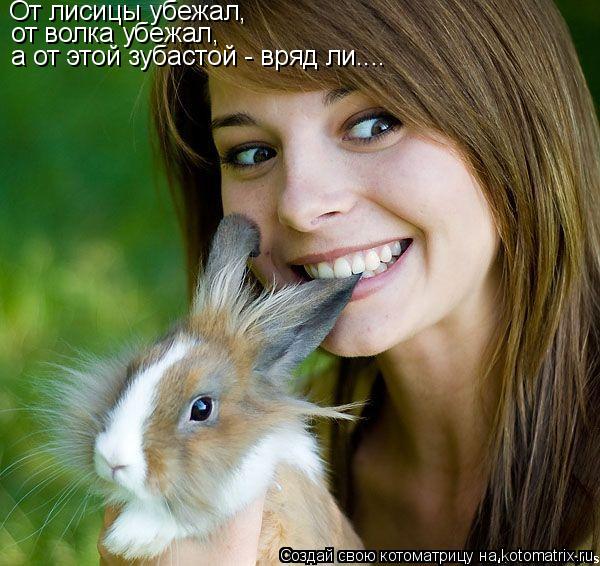 Котоматрица: От лисицы убежал, от волка убежал, а от этой зубастой - вряд ли....