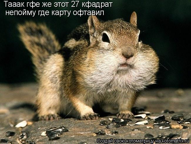 Котоматрица: непойму где карту офтавил Тааак гфе же этот 27 кфадрат